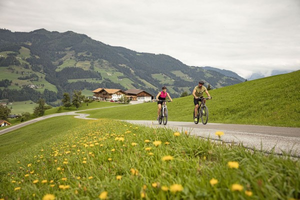 Bike tour